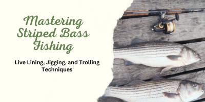 Mastering Striped Bass Fishing: Live Lining, Jigging, and Trolling Techniques
