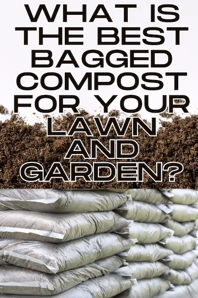 Best Bagged Compost for Lawns and Gardens